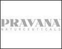 Pravana Logo